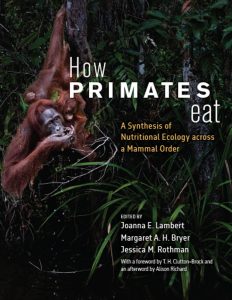 Cover of a book with image of orangutan mom and infant and title How Primates Eat