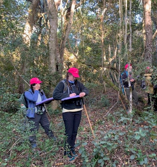 Students wearing pink hats learn how to collect behavioral data in the forest holding purple clip boards