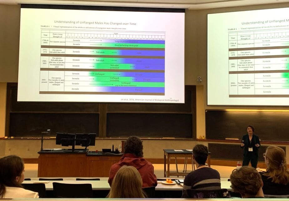 Researcher presents in lecture hall with slides on projector